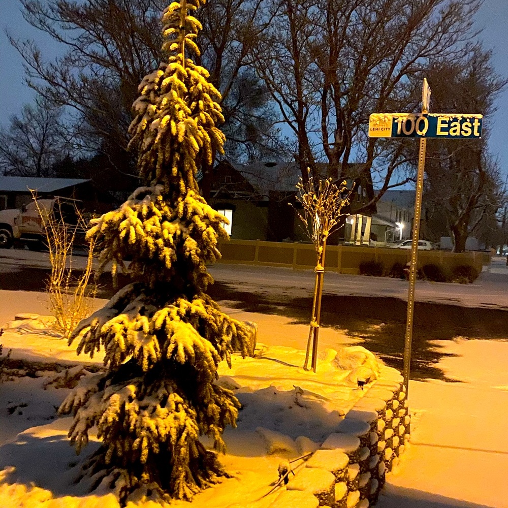 Winter